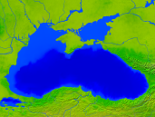 Black Sea Vegetation 1600x1200